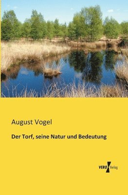 bokomslag Torf, seine Natur und Bedeutung