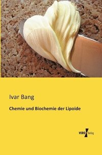 bokomslag Chemie und Biochemie der Lipoide