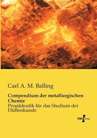 bokomslag Compendium der metallurgischen Chemie