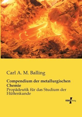 Compendium der metallurgischen Chemie 1