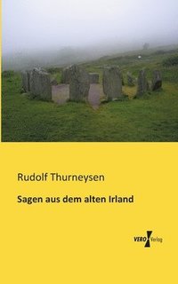 bokomslag Sagen aus dem alten Irland