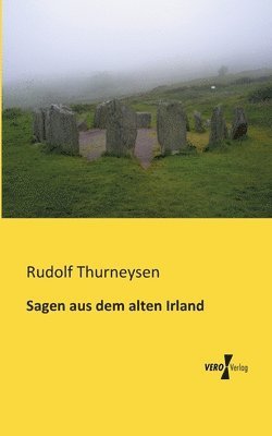 bokomslag Sagen aus dem alten Irland