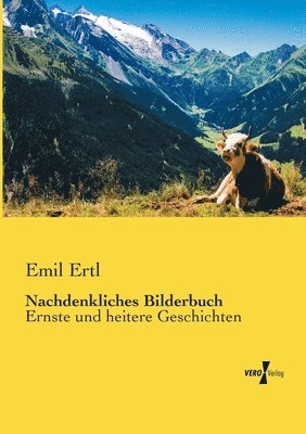 bokomslag Nachdenkliches Bilderbuch