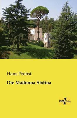 bokomslag Madonna Sixtina