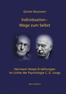 bokomslag Individuation - Wege zum Selbst