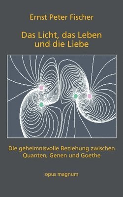 bokomslag Licht, das Leben und die Liebe
