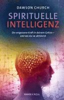 bokomslag Spirituelle Intelligenz