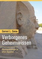 bokomslag Verborgenes Geheimwissen