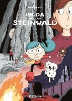 bokomslag Hilda und der Steinwald