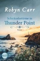 bokomslag Schicksalsstürme in Thunder Point
