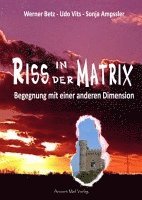 bokomslag Riss in der Matrix