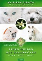 bokomslag Tiere heilen mit Bachblüten - Praxisbuch