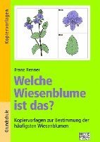 bokomslag Welche Wiesenblume ist das?