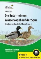 Die Ente - einem Wasservogel auf der Spur 1