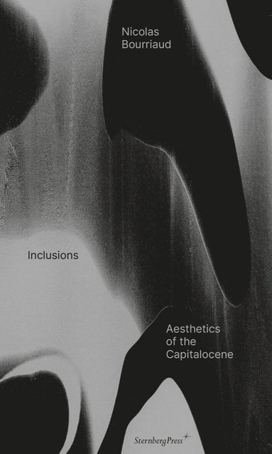 Nicolas Bourriaud - Inclusions, Häftad
