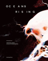 bokomslag Oceans Rising