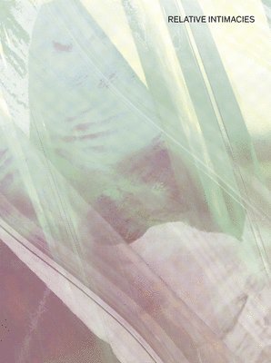 bokomslag Relative Intimacies