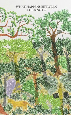 What Happens between the Knots?