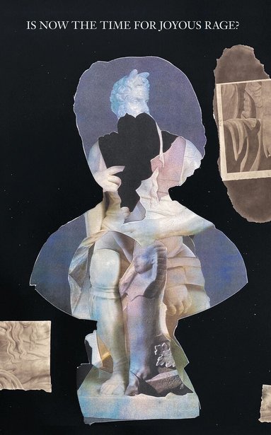 Jacqueline Francis, Jeanne Gerrity - Is Now the Time for Joyous Rage?, Häftad