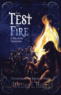 bokomslag The Test of Fire: A Sword and Sorcery Novel from the Lands of Hope