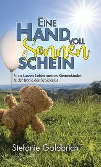 bokomslag Eine Handvoll Sonnenschein: Vom kurzen Leben meines Sternenkindes & der Ironie des Schicksals