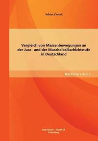 bokomslag Vergleich von Massenbewegungen an der Jura- und der Muschelkalkschichtstufe in Deutschland