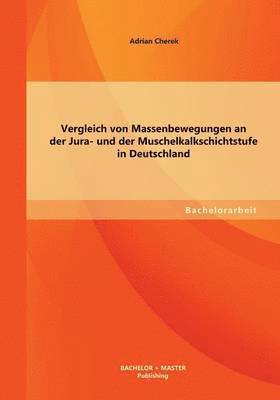 Vergleich von Massenbewegungen an der Jura- und der Muschelkalkschichtstufe in Deutschland 1