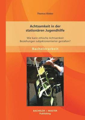 bokomslag Achtsamkeit in der stationären Jugendhilfe
