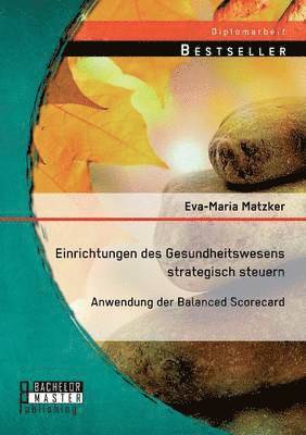 bokomslag Einrichtungen des Gesundheitswesens strategisch steuern - Anwendung der Balanced Scorecard