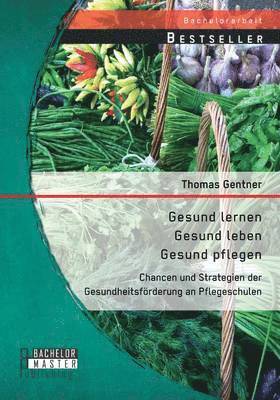 bokomslag Gesund lernen - gesund leben - gesund pflegen