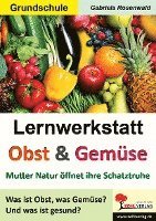 Gabriela Rosenwald - Lernwerkstatt Obst & Gemüse, Häftad