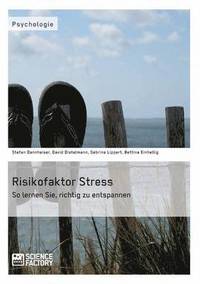 bokomslag Risikofaktor Stress. So lernen Sie, richtig zu entspannen