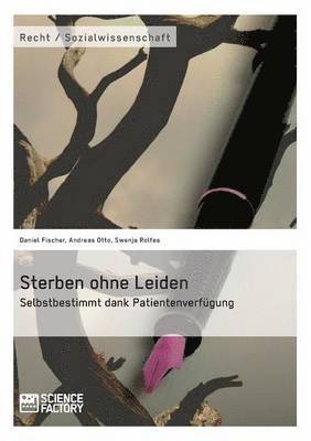 Daniel Fischer, Andreas Otto, Swenja Rolfes - Sterben ohne Leiden. Selbstbestimmt dank Patientenverfügung, Häftad
