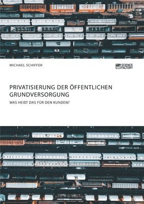 bokomslag Privatisierung der oeffentlichen Grundversorgung. Was heisst das fur den Kunden?