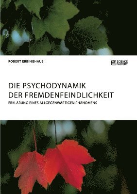 bokomslag Psychodynamik der Fremdenfeindlichkeit. Erklärung eines allgegenwärtigen Phänomens