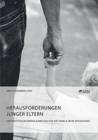 bokomslag Herausforderungen junger Eltern. Untersttzungsmglichkeiten fr die Familie beim ersten Kind