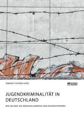 Jugendkriminalitat in Deutschland. Wie gelingt die Resozialisierung von Intensivtatern? 1