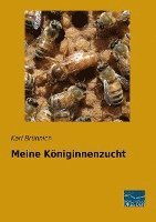 bokomslag Meine Königinnenzucht