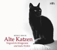 bokomslag Alte Katzen