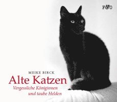 Alte Katzen 1