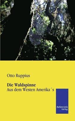 Waldspinne