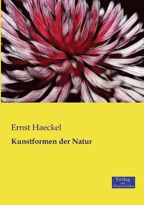 bokomslag Kunstformen der Natur