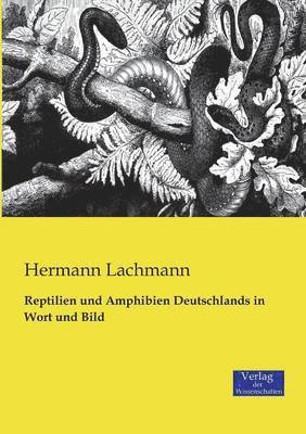 Reptilien und Amphibien Deutschlands in Wort und Bild 1