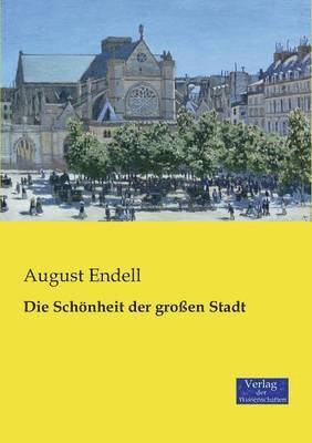 bokomslag Schönheit der großen Stadt