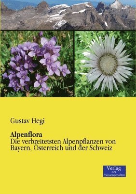 bokomslag Alpenflora