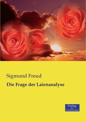 bokomslag Frage der Laienanalyse