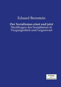 bokomslag Sozialismus einst und jetzt