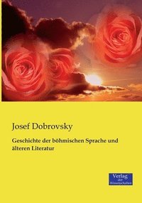 bokomslag Geschichte der bhmischen Sprache und lteren Literatur