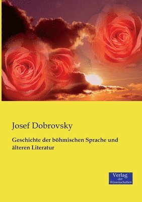 Josef Dobrovsky - Geschichte der böhmischen Sprache und älteren Literatur, Häftad
