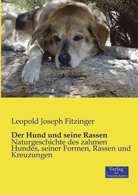 bokomslag Der Hund und seine Rassen